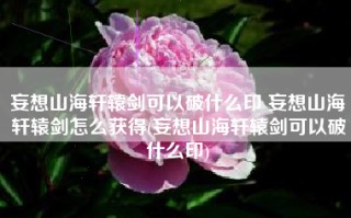 妄想山海轩辕剑可以破什么印 妄想山海轩辕剑怎么获得(妄想山海轩辕剑可以破什么印)
