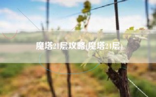 魔塔21层攻略(魔塔24层)