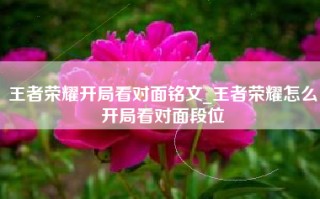 王者荣耀开局看对面铭文_王者荣耀怎么开局看对面段位