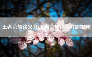 王者荣耀铭文介(王者荣耀铭文介绍视频)