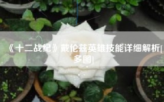 《十二战纪》戴伦兹英雄技能详细解析[多图]