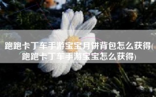 跑跑卡丁车手游宝宝月饼背包怎么获得(跑跑卡丁车手游宝宝怎么获得)