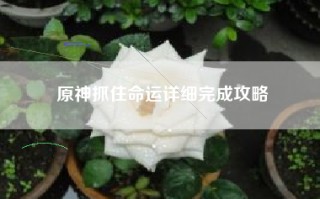 原神抓住命运详细完成攻略