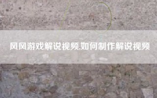 风风游戏解说视频,如何制作解说视频