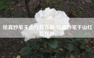 绘真妙笔千山红鞋在哪(绘真妙笔千山红鞋在哪)