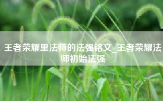 王者荣耀里法师的法强铭文_王者荣耀法师初始法强