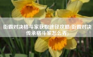 街霸对决格斗家获取途径攻略(街霸对决传承格斗家怎么弄)