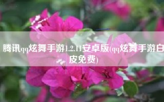 腾讯qq炫舞手游1.2.11安卓版(qq炫舞手游白皮免费)