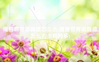 魔兽世界诺森德怎么去(魔兽世界诺森德怎么去卡利姆多)