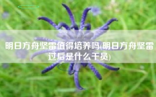明日方舟坚雷值得培养吗(明日方舟坚雷过后是什么干员)