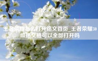 王者荣耀怎么打开铭文首页_王者荣耀30级铭文槽可以全部打开吗