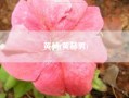 黄赫(黄赫男)