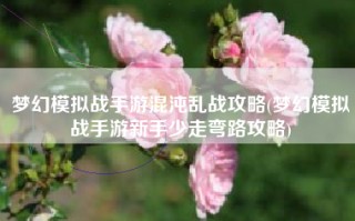 梦幻模拟战手游混沌乱战攻略(梦幻模拟战手游新手少走弯路攻略)