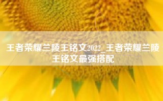 王者荣耀兰陵王铭文2022_王者荣耀兰陵王铭文最强搭配