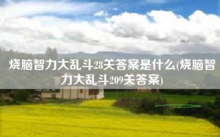 烧脑智力大乱斗28关答案是什么(烧脑智力大乱斗209关答案)