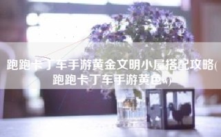 跑跑卡丁车手游黄金文明小屋搭配攻略(跑跑卡丁车手游黄色w)