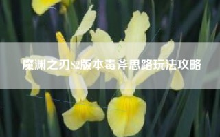 魔渊之刃S2版本毒斧思路玩法攻略