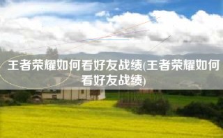 王者荣耀如何看好友战绩(王者荣耀如何看好友战绩)
