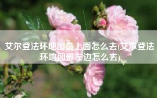 艾尔登法环地图最上面怎么去(艾尔登法环地图最左边怎么去)