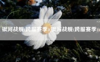 银河战舰(跨服赛季)(银河战舰(跨服赛季))