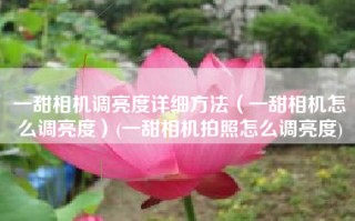 一甜相机调亮度详细方法（一甜相机怎么调亮度）(一甜相机拍照怎么调亮度)