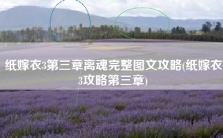 纸嫁衣3第三章离魂完整图文攻略(纸嫁衣3攻略第三章)