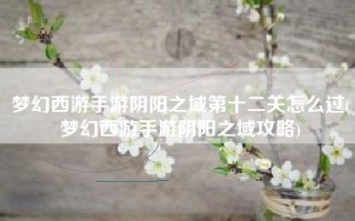 梦幻西游手游阴阳之域第十二关怎么过(梦幻西游手游阴阳之域攻略)
