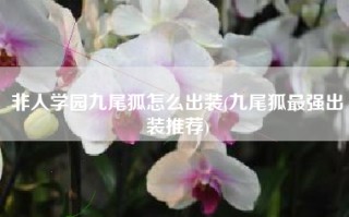 非人学园九尾狐怎么出装(九尾狐最强出装推荐)