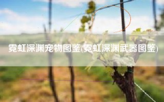 霓虹深渊宠物图鉴(霓虹深渊武器图鉴)