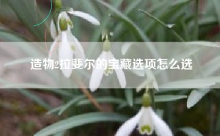 造物2拉斐尔的宝藏选项怎么选