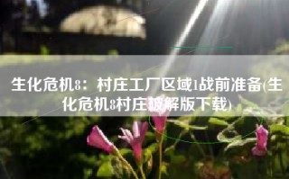 生化危机8：村庄工厂区域1战前准备(生化危机8村庄破解版下载)