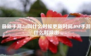 最新手游dnf叫什么时候更新时间,DNF手游什么时候出