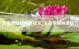王者荣耀鲸吸流铭文_王者荣耀吸金能力