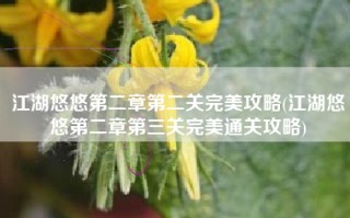 江湖悠悠第二章第二关完美攻略(江湖悠悠第二章第三关完美通关攻略)