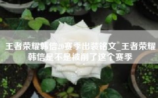 王者荣耀韩信20赛季出装铭文_王者荣耀韩信是不是被削了这个赛季