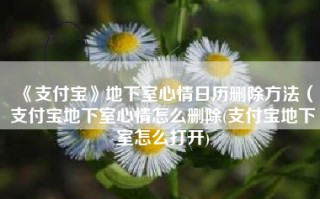 《支付宝》地下室心情日历删除方法（支付宝地下室心情怎么删除(支付宝地下室怎么打开)