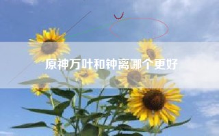原神万叶和钟离哪个更好