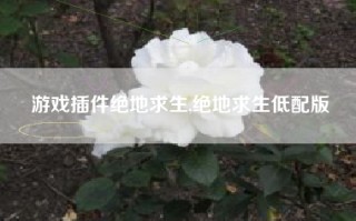游戏插件绝地求生,绝地求生低配版