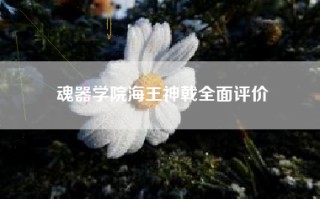 魂器学院海王神戟全面评价