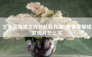 王者荣耀铭文碎片社区在哪_王者荣耀铭文碎片怎么买