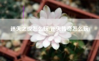 迷失之夜怎么玩(迷失传奇怎么玩)