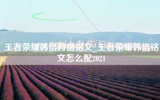 王者荣耀韩信狩猎铭文_王者荣耀韩信铭文怎么配2021
