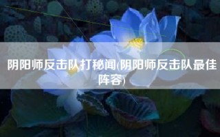 阴阳师反击队打秘闻(阴阳师反击队最佳阵容)