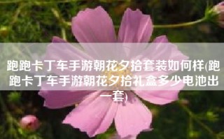 跑跑卡丁车手游朝花夕拾套装如何样(跑跑卡丁车手游朝花夕拾礼盒多少电池出一套)