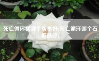 死亡循环买哪个版本好(死亡循环哪个石板最好)
