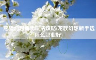 龙族幻想新手玩法攻略(龙族幻想新手选什么职业好)