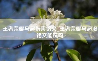 王者荣耀马超伤害铭文_王者荣耀马超没铭文能玩吗