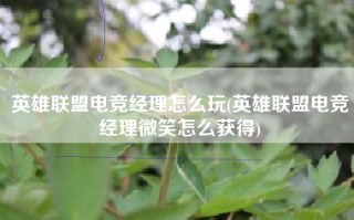 英雄联盟电竞经理怎么玩(英雄联盟电竞经理微笑怎么获得)