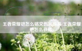 王者荣耀铠怎么铭文伤害最高(王者荣耀铠怎么获得)