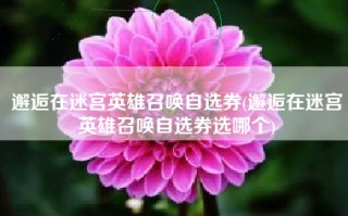 邂逅在迷宫英雄召唤自选券(邂逅在迷宫英雄召唤自选券选哪个)